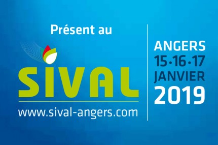 SIVAL 2019